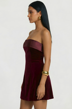 Renata Velvet Mini Dress