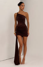 Shazia Mini Dress - Plum Brown